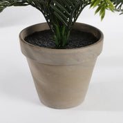 Artificial Cycas Palm Plant in Flower Pot Stan - H37 x Ø44 cm - Green