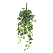 Hedera Artificial Hanging Plant - H71 cm - Green Variegated