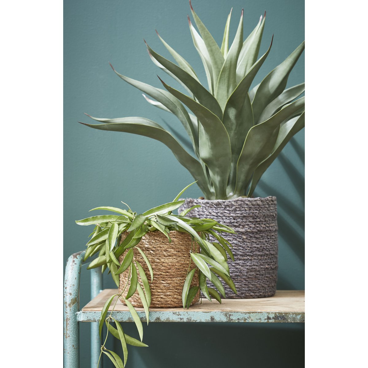 Atlantic Plant Mandjes - Set van 3 - 