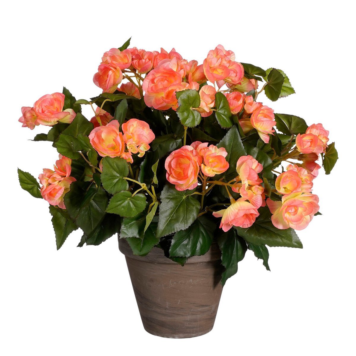 Artificial Begonia Plant in Stan Flowerpot - H37 x Ø36 cm - Salmon Pink