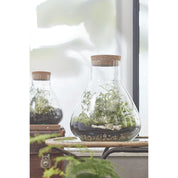 Emily Storage Jar - H25 x Ø23 cm - Recycled Glass - Transparent