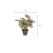 Artificial Begonia Plant in Flower Pot Stan - H40 x Ø38 cm - Red