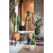Ascot Plant Stand XL - L46 x W46 x H40 cm - Metal - Black