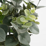 Plante d'eucalyptus artificielle en pot - H53 x Ø23 cm - Vert