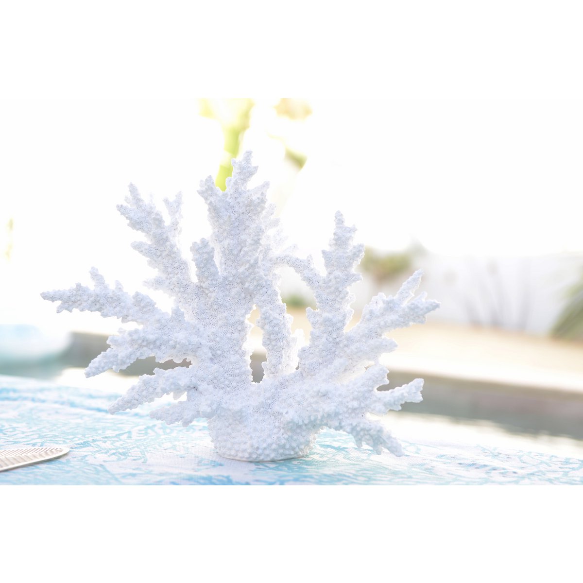 Decorative White Coral 
