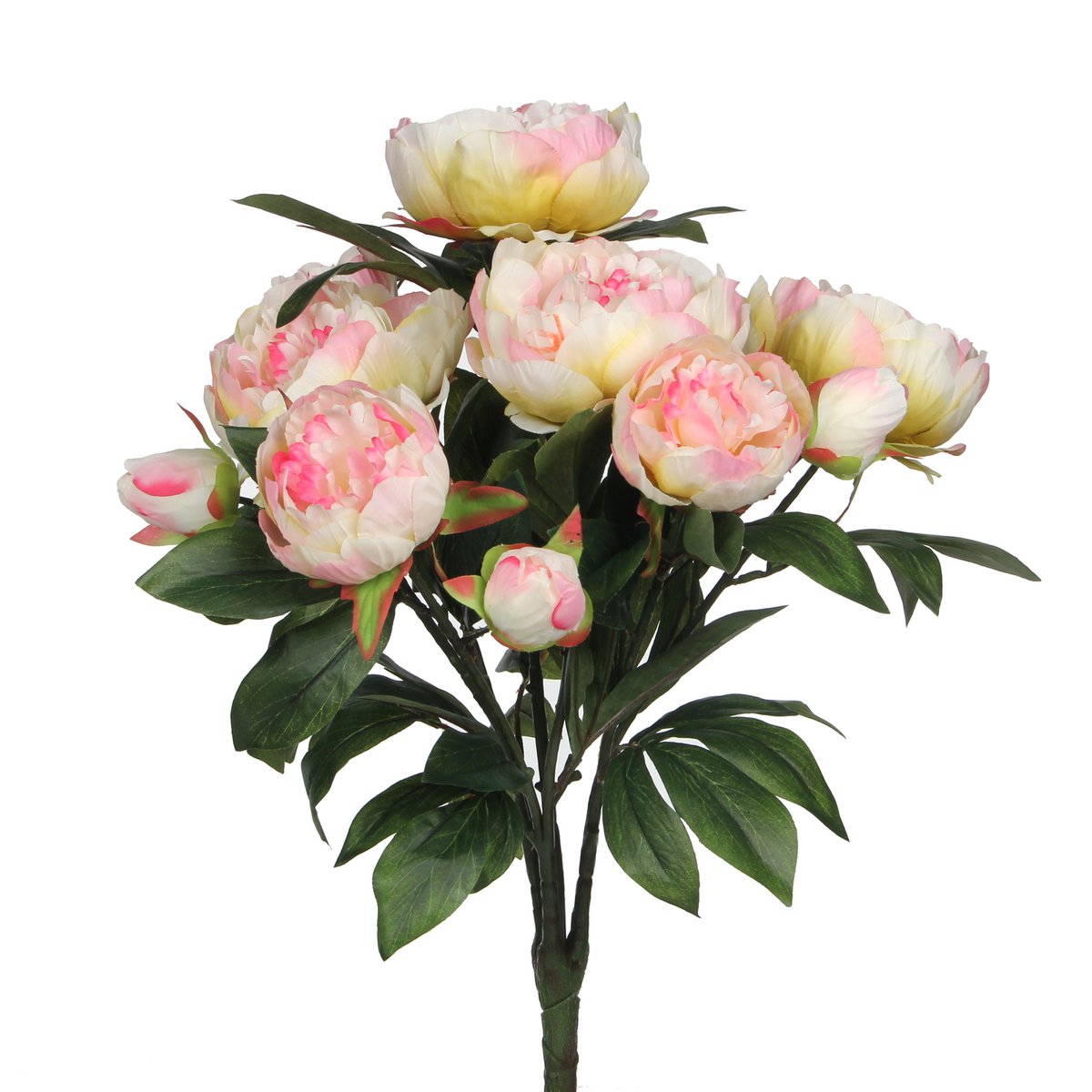 ae7a80f3-0a4f-45dc-964b-ebd15ed1f268_1200x1200_fill.jpg