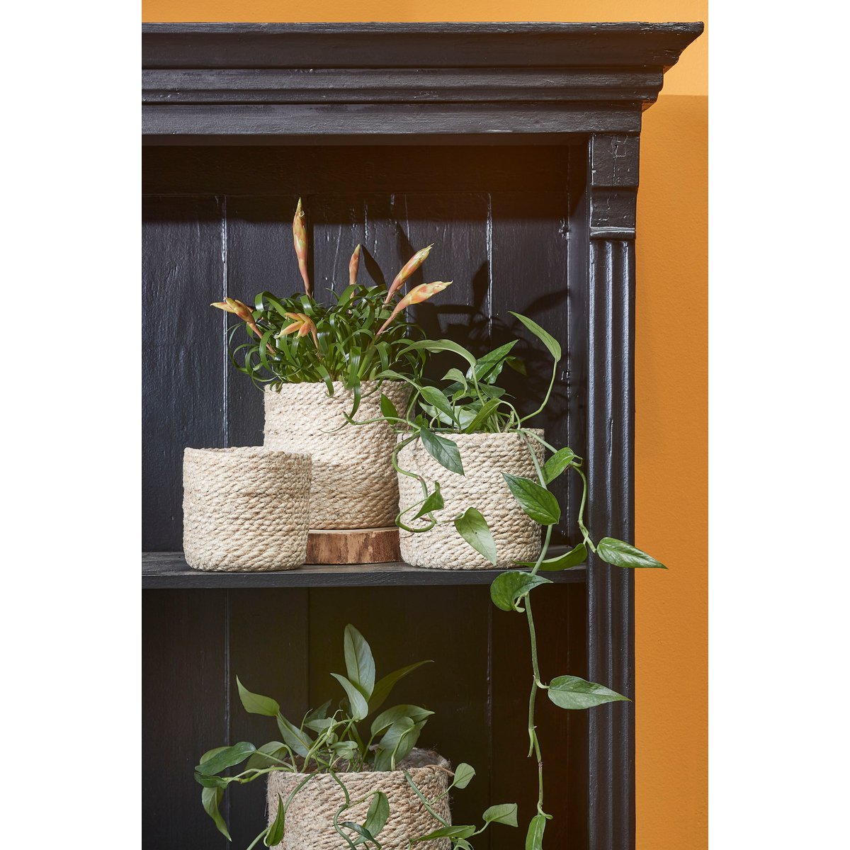 Atlantic Plant Basket - Set of 3 - H16 x Ø16 cm - Jute - Cream