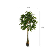 Pachira Artificial Plant - H150 x Ø65 cm - Green
