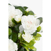 Artificial Azalea Plant in Flower Pot Stan - H31 x Ø26 cm - White