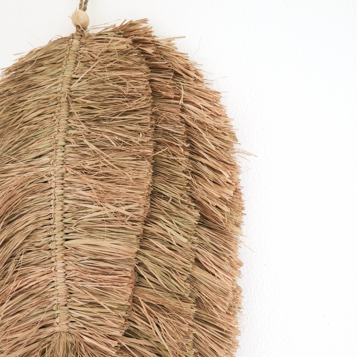 Tropical Wall Decor | TIPIN