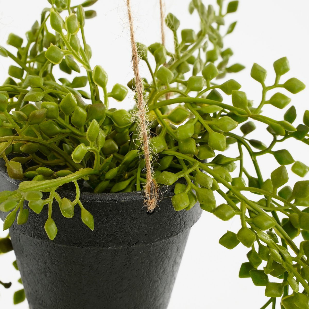 Senecio Kunsthangplant in Pot - H68 x Ø9 cm - Groen