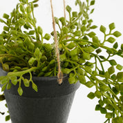 Senecio Kunsthangplant in Pot - H68 x Ø9 cm - Groen