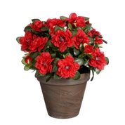 Artificial Azalea Plant in Flower Pot Stan - H31 x Ø26 cm - Red