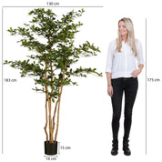 Plante artificielle Olivier en pot - H183 x Ø130 cm - Vert