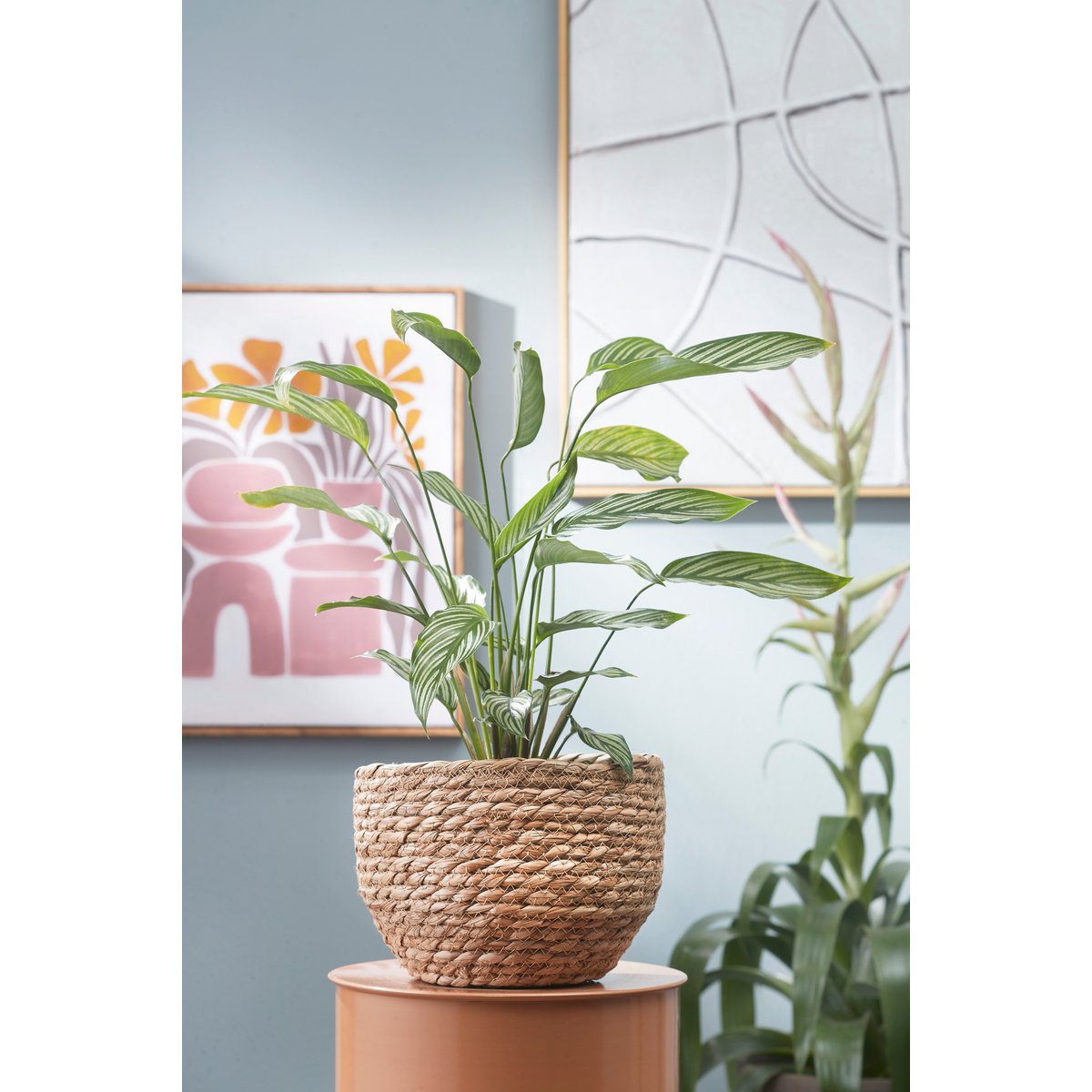Jorck Plant Basket - H19 x Ø22 cm - Seagrass - Light brown