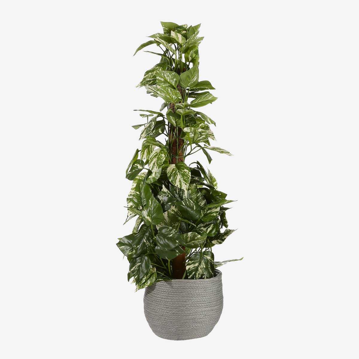Jorck Plantenmand - Set van 3 - Grijs