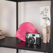 Ornament - Platte Vis - Polyresin - Roze - 19,5x10,5x16cm
