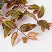 Tradescantia Künstliche Hängepflanze - L15 x B20 x H54 cm - Bordeaux