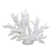 Decorative White Coral 