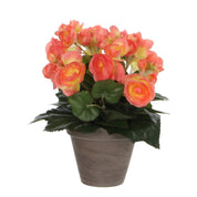Artificial Begonia Plant in Stan Flowerpot - H30 x Ø25 cm - Salmon Pink