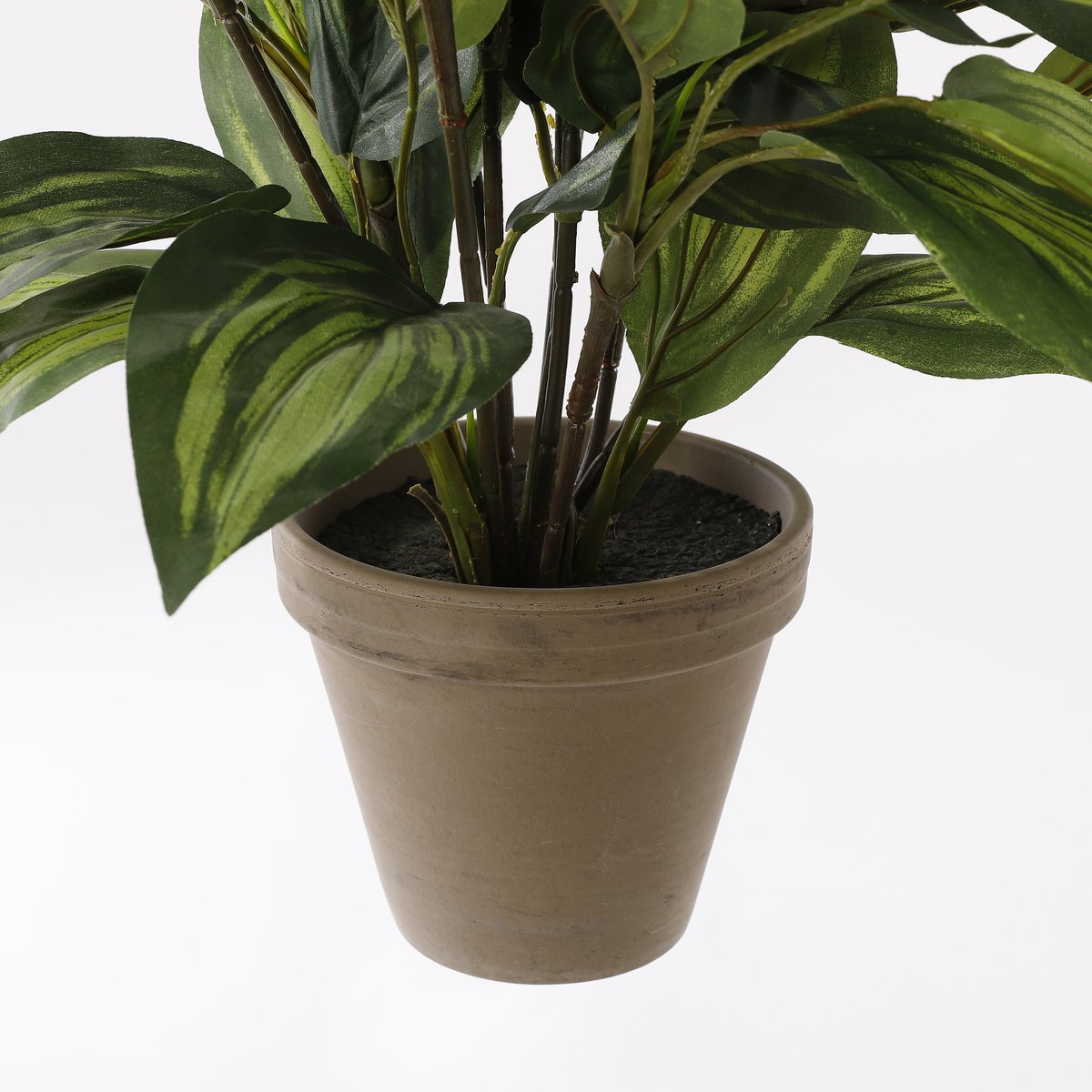 Artificial Hosta Plant in Flower Pot Stan - H65 x Ø40 cm - Green