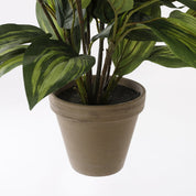 Artificial Hosta Plant in Flower Pot Stan - H65 x Ø40 cm - Green