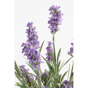 Artificial Lavender Plant in Flower Pot Stan - H33 x Ø20 cm - Purple