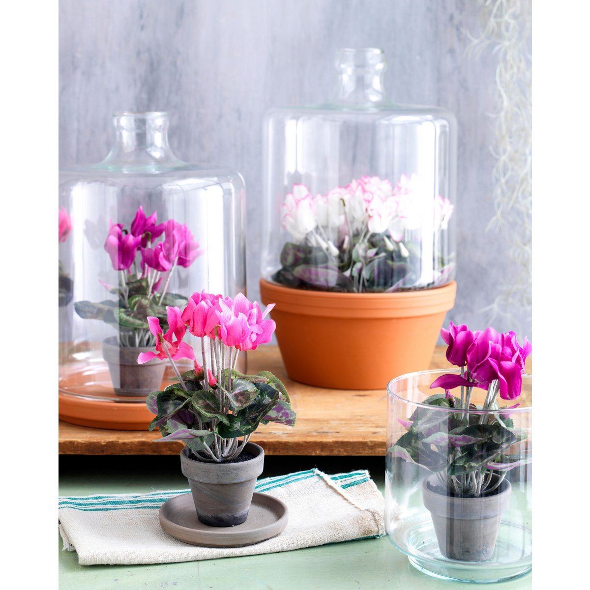Artificial Cyclamen Plant in Flower Pot Stan - H30 x Ø30 cm - Dark Pink