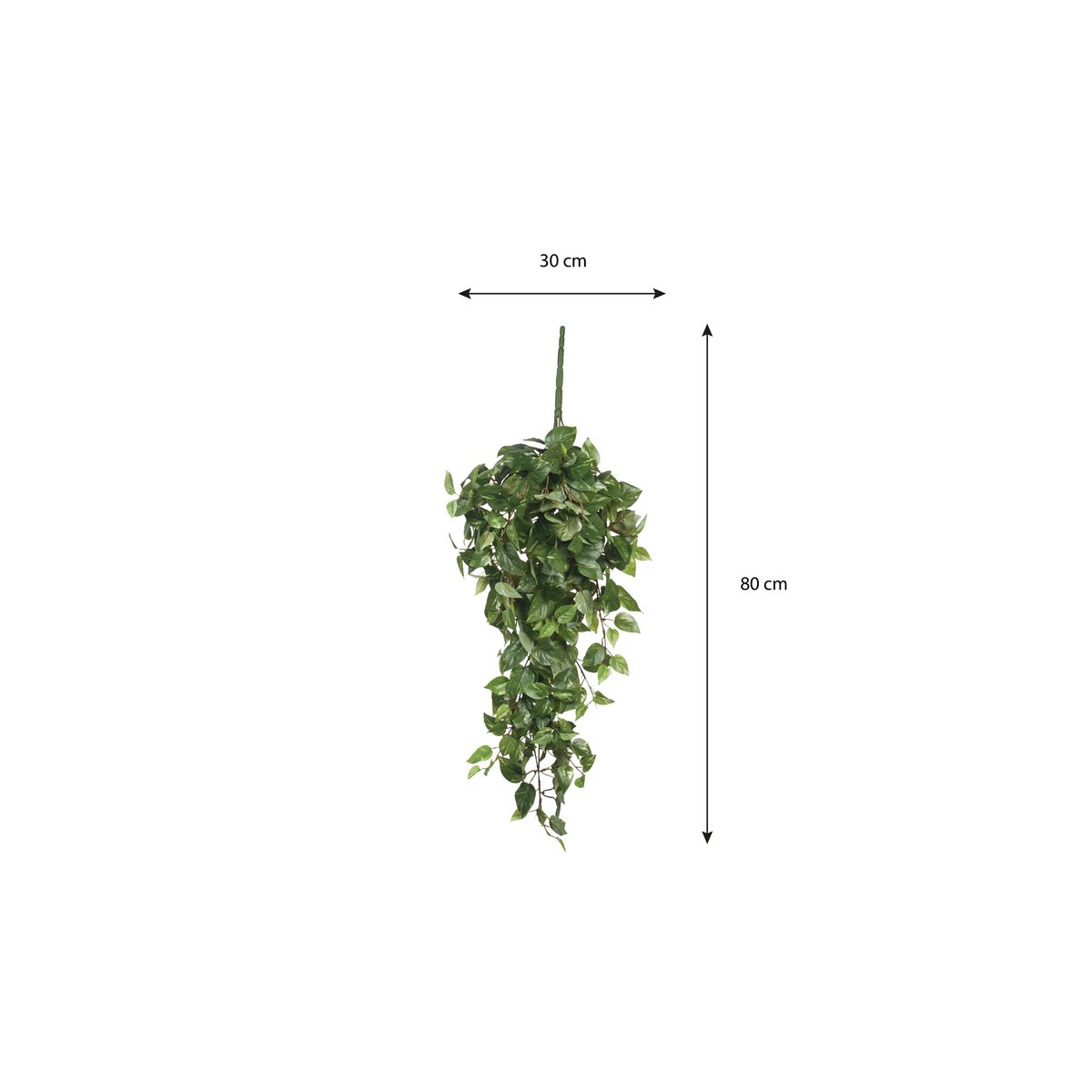 Scindapsus Artificial Hanging Plant - L15 x W30 x H80 cm - Green