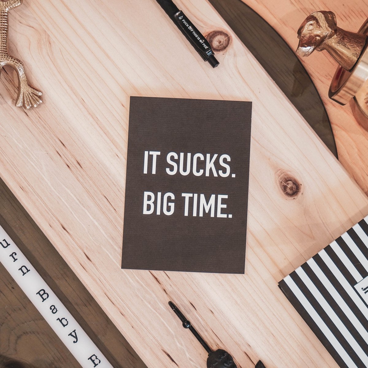 Postcard - Paper - It Sucks - Set of 5 