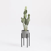 Ascot Plant Stand - L21 x W21 x H35 cm - Metal - Black