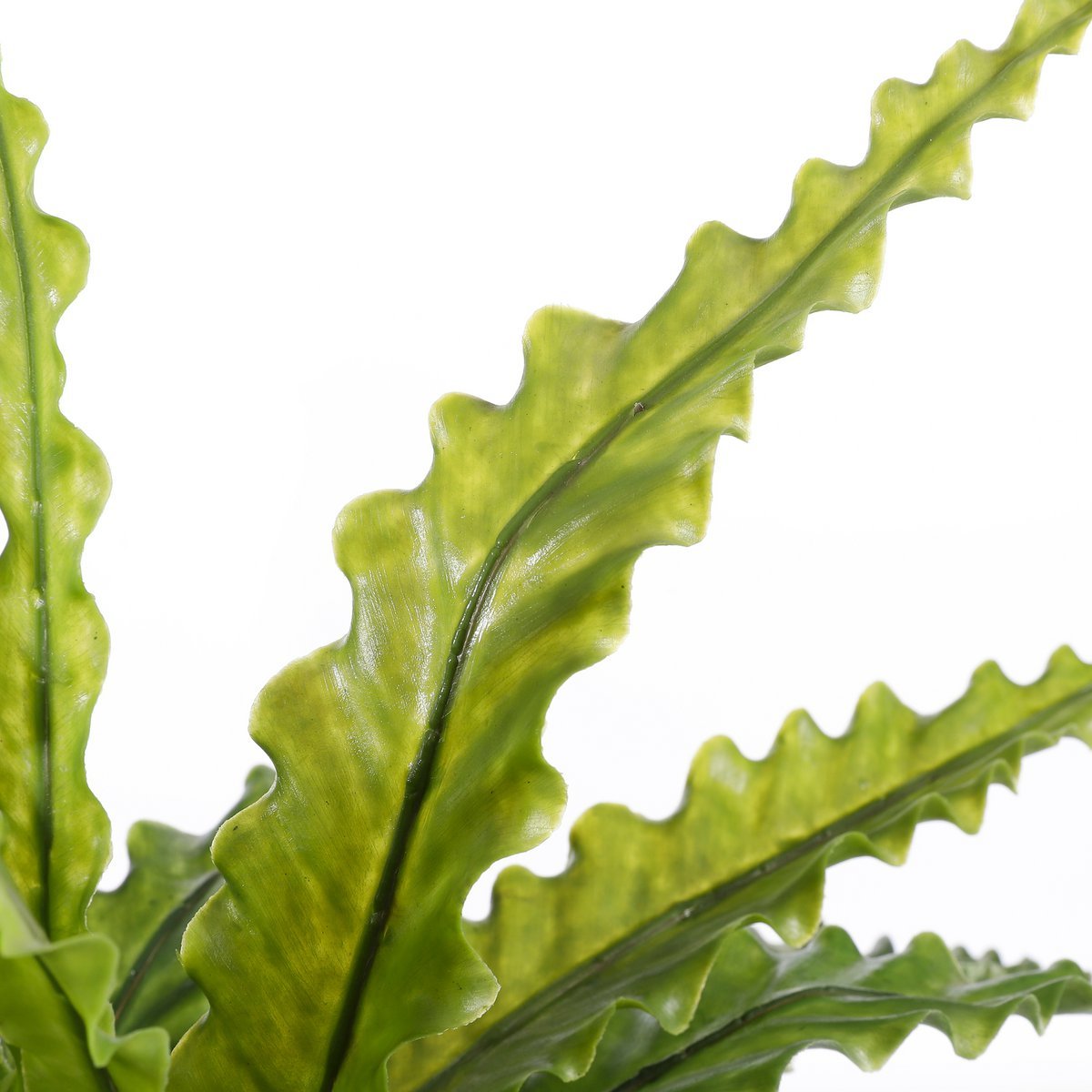 Asplenium Artificial Plant in Flower Pot Stan - H54 x Ø66 cm - Green