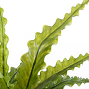 Asplenium Artificial Plant in Flower Pot Stan - H54 x Ø66 cm - Green