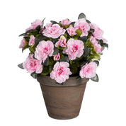 Artificial Azalea Plant in Flower Pot Stan - H31 x Ø26 cm - Pink