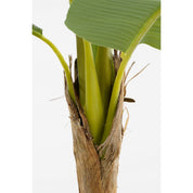 Artificial Banana Tree in Pot - H155 x Ø90 cm - Green