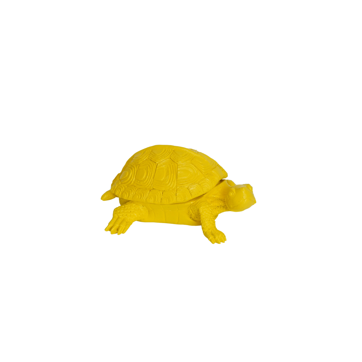 c26da7f7-30a6-4774-ba16-2498859c0b58_1200x1200_fill.png