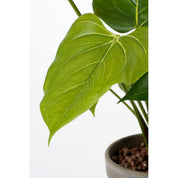 Artificial Anthurium Plant in Flower Pot Stan - H38 x Ø30 cm - Red