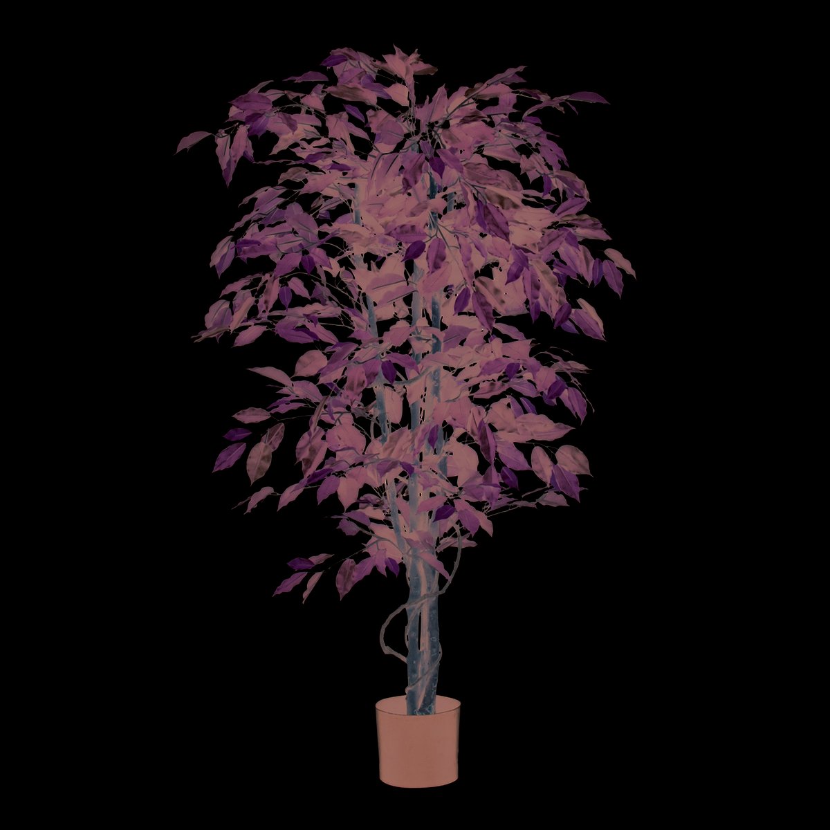 Artificial Ficus Plant - H150 x Ø85 cm - Green