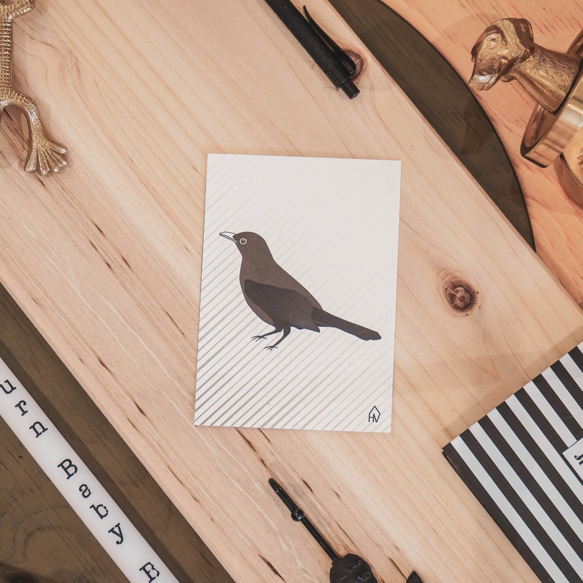 Ansichtkaart - Papier - Zwarte Vogel - Set van 5 - A6