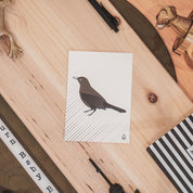 Ansichtkaart - Papier - Zwarte Vogel - Set van 5 - A6