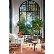 Pachira Artificial Plant - H150 x Ø65 cm - Green