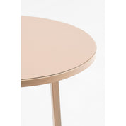 Adine Plant Table - H80 x Ø30 cm - Metal - Light pink
