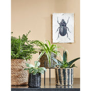 Atlantic Plant Mandjes - Set van 3 - 