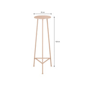 Adine Plant Table - H120 x Ø35 cm - Metal - Light pink