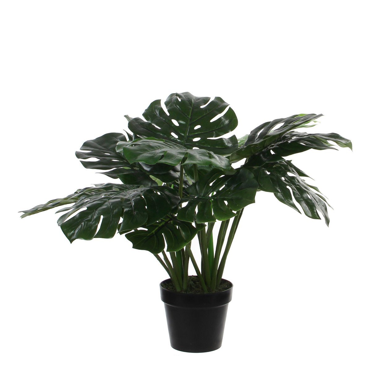 Monstera Artificial Plant - H60 x Ø80 cm - Green