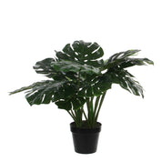 Monstera Artificial Plant - H60 x Ø80 cm - Green