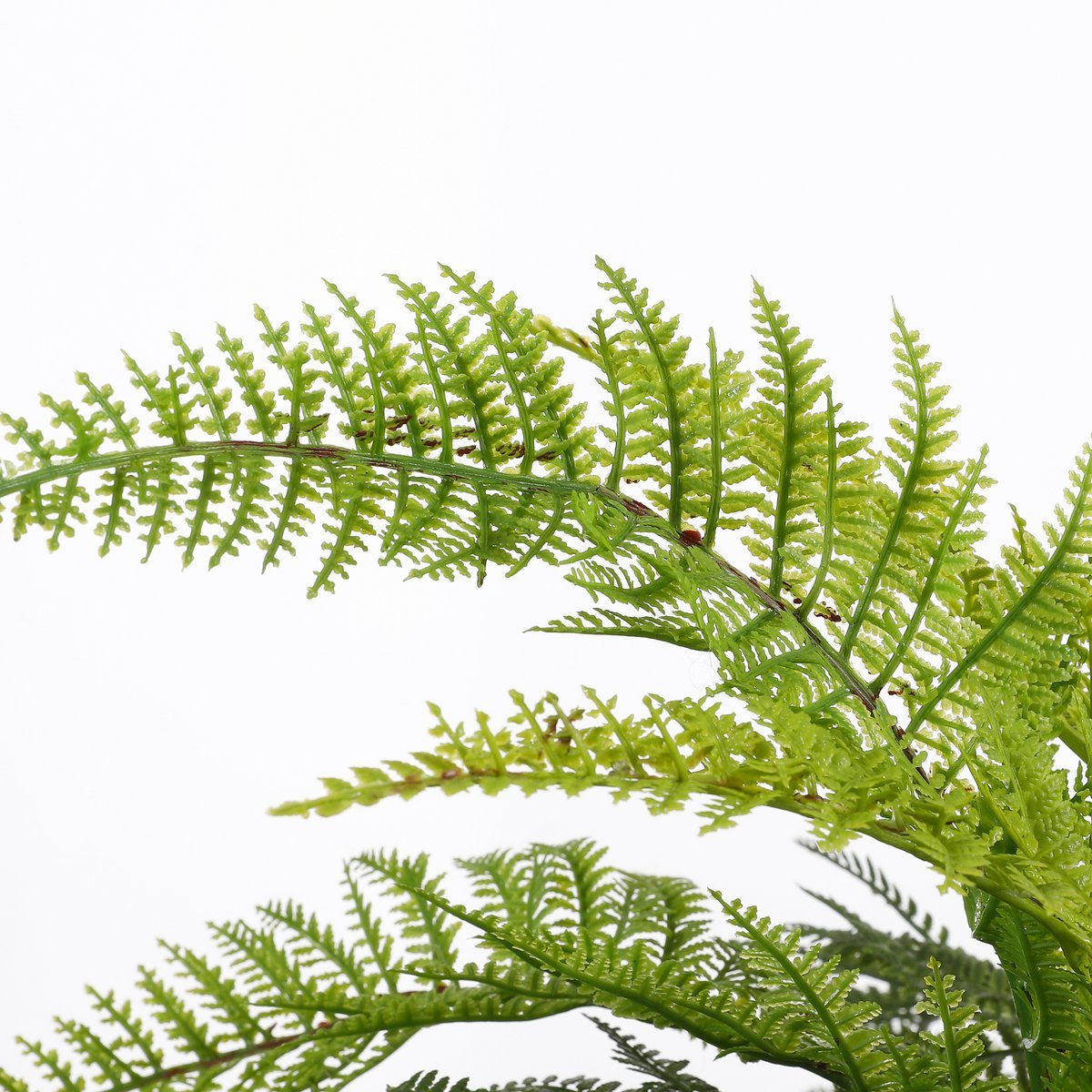 Fougère artificielle en pot Stan - H38 x Ø50 cm - Vert