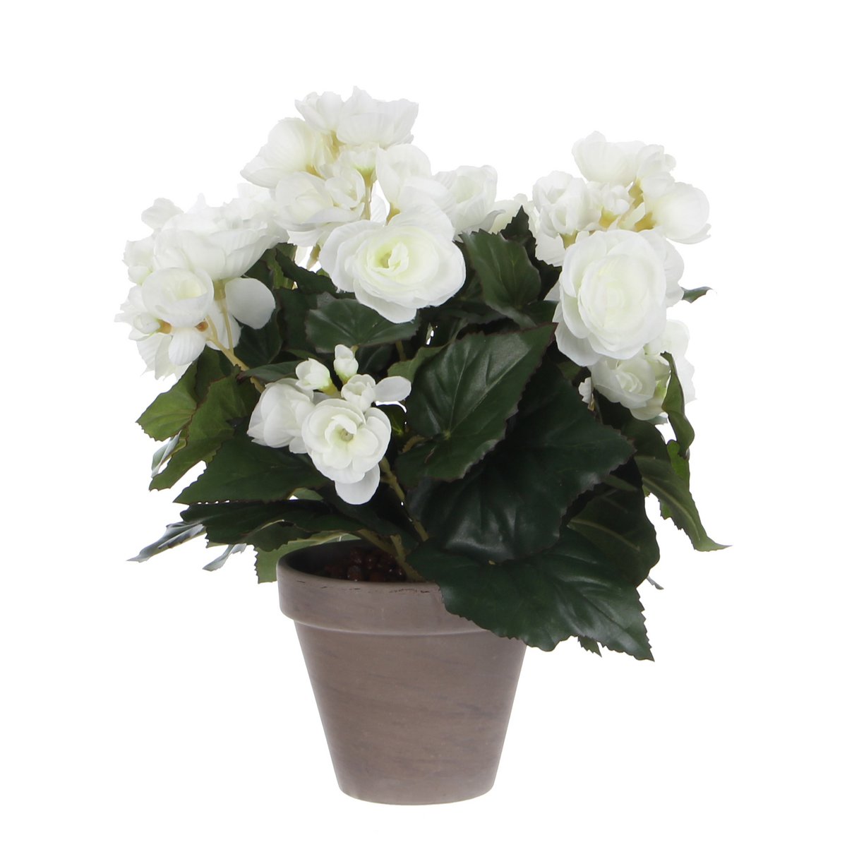 ce97135b-923a-4b46-b2a2-dae1bb789a20_1200x1200_fill.jpg