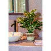 Evergreen Artificial Plant in Flower Pot Stan - H49 x Ø40 cm - Green
