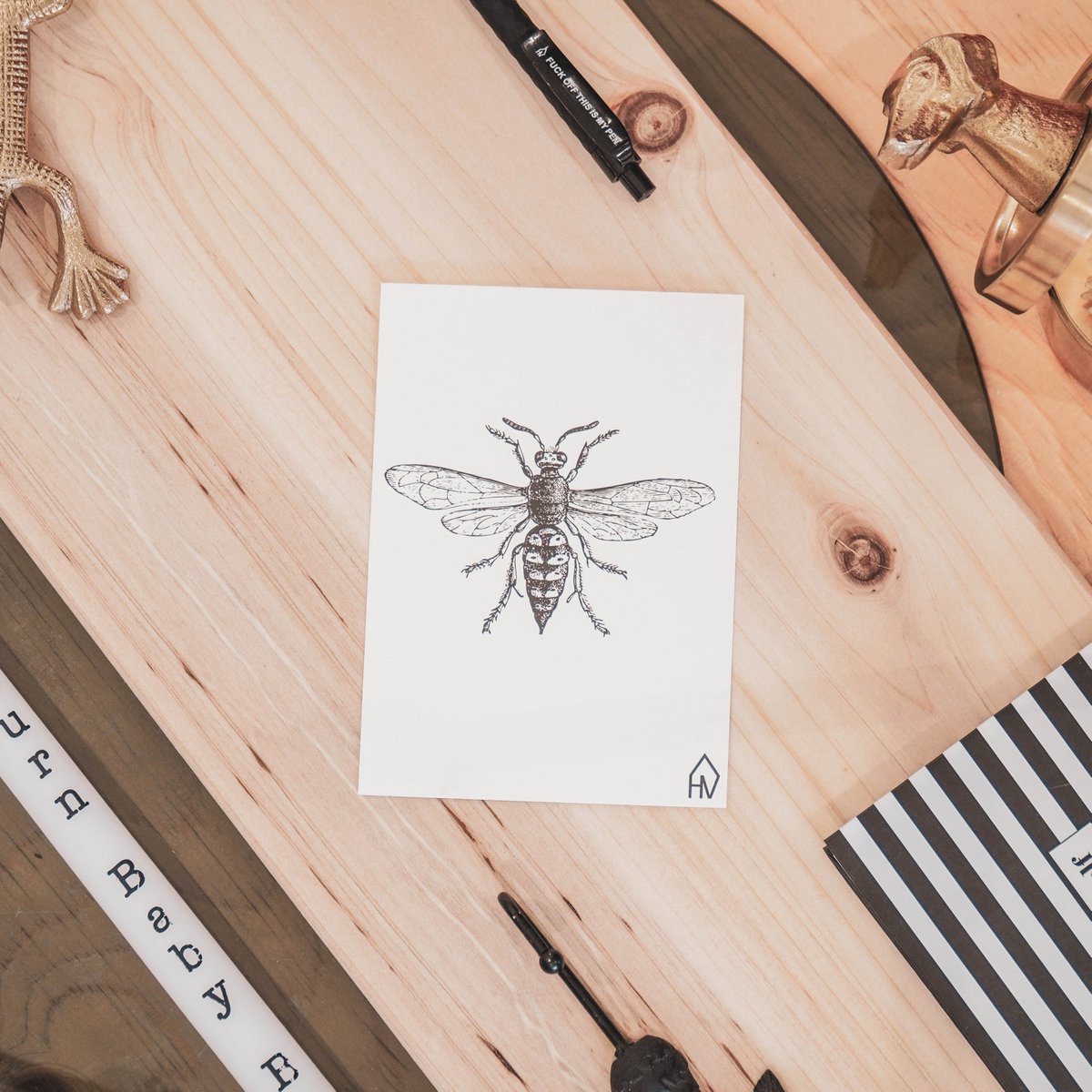Ansichtskarte - Papier - Bij - Set van 5 - A6